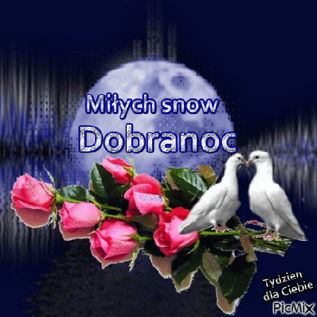 Białe, całujące gołębie na dobranoc